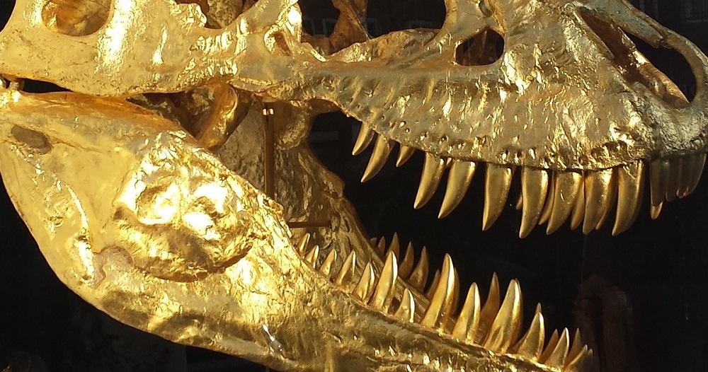 Vergoldeter Tyranno Saurus Rex Schädel vor schwarzem Hintergrund