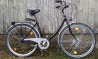 28'zoll, City Bike, 7-Gang Daumen Wipp- und Drehschalter, teilweise Nabendynamos, teilweise extra hohe Lenker, extra breite Gelsättel, 47-er Reifenbreite, Rahmenhöhen 45,5