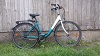 City Fahrrad Petrolfalke 1+2 Ausleihe