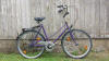 City Fahrrad Amethystfalter 1+2 Ausleihe