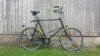 City Fahrrad Black Coral Moth XL Ausleihe