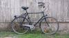 City Fahrrad Black Coral Moth 1+2 Ausleihe