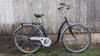 City Fahrrad Aldebaranfalter Ausleihe