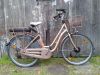 E-Bike Goldfalbe im Verleih