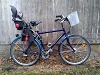 Saphirfalke, 28'-zoll, Herren Trekking Bike, Tourenrad, aufrechte Sitzposition, Diamant*  Rahmen