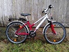 Bike Rental: Kinderrad Silberfischchen