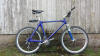 Kobalt Tayra, Mountain Bike mit Federgabel,  Rahmen aus Carbon, Rahmenhöhe 55