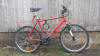 Blutroter Fuchs, Mountain Bike "Iltis" Stahlrahmen, 24-Gang rapidfire Schaltung, mit Federgabel, Down Hill* Lenker,  Rahmenhöhe 55
