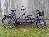 Im Familien Fahrrad Verleih: Blauer_Hüpferling