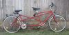 Tandem Verleih: Feueropaltäubchen 1 Tandem Verleih: Feueropaltäubchen 1