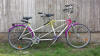 Tandem Verleih: Paradiestaeubchen M