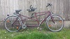 Tandem Verleih: Purpurtaeubchen L