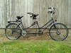 Doppel Damen Tandem, hoher Lenker vorne und hinten, 26 Zoll, 47-er Reifenbreite, Rahmenhöhen: vorne 48, hinten 46 Länge des Tandems: 250cm