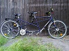 Tandem "Paradiestäubchen", 18-Gang Daumenschaltung ohne Rücktrittbremse