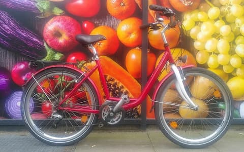 Rot-weißes Damen Monotube Fahrrad vor Fotowand mit buntem Obst