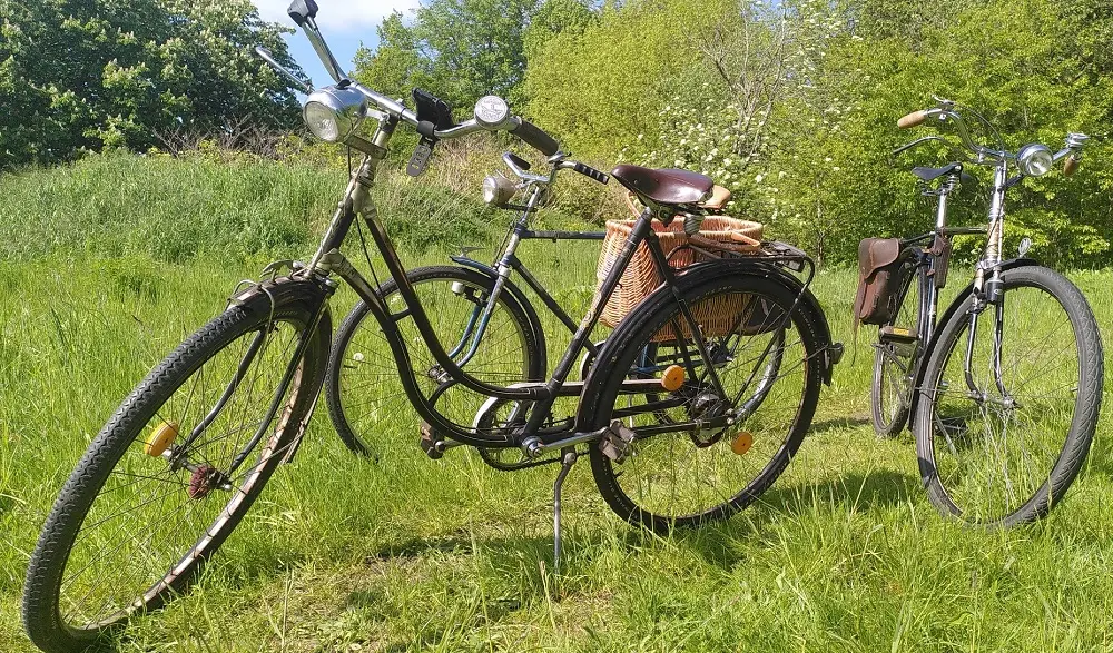 Zwei 50-er Jahre Oldtimer auf grüner Wiese