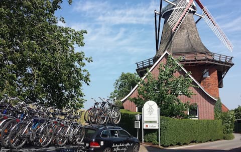 Fahrradtransport mit PKW und Anhänger vor einer Windmühle