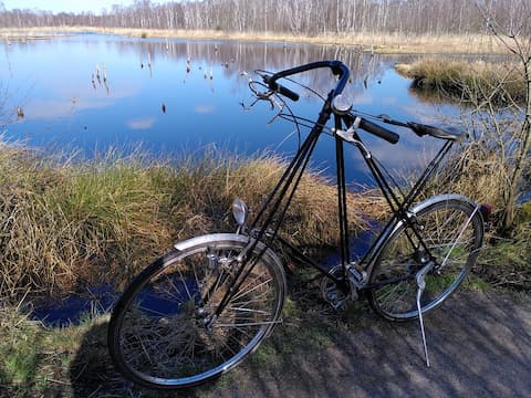 Pedersen Fahrrad vor Moorlandschaft und blauem See.