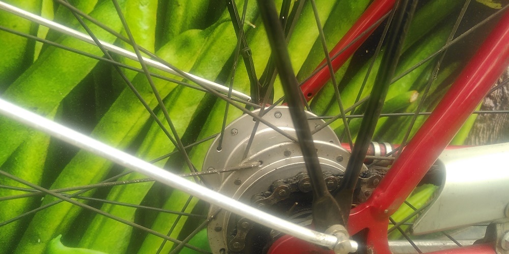 Fahrrad mit Nabenschaltung und Rücktrittbremse vor grüner Fotowand