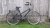 Gaukler 3, 28'-zoll, Damen Trekking Bike, Tourenrad, aufrechte Sitzposition, Damen Rahmen