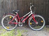 Zwergwiesel, 26'-zoll, Damen Trekking Bike, Tourenrad, aufrechte Sitzposition, Trapez Rahmen