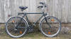 City Fahrrad Malachitfalke Ausleihe