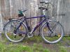 Atollfalke im Velo Verleih
