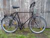 kavernenfalke im Velo Verleih