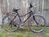 Schwarzmerlin im Velo Verleih