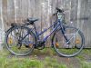 Zwergbussard im Velo Verleih
