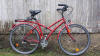 Universal Fahrrad Mohnkolibri M mieten
