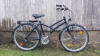 Universal Fahrrad Saphirkolibri S mieten